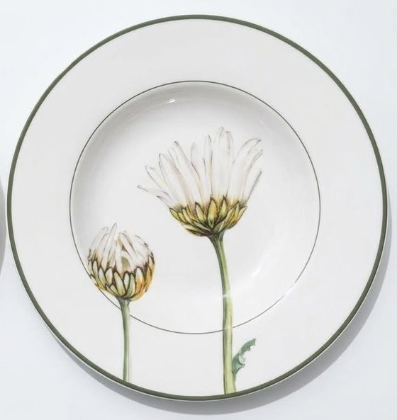 Villeroy & Boch Flora 'Marguerite', 12-piece Crockery set, Porcelain, Green (photo 2 of 6)