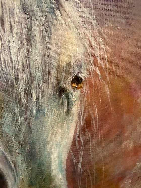 Acryl schilderij paard, Schilderijen & Tekeningen, Anders, Meerdere kleuren (foto 4 van 8)