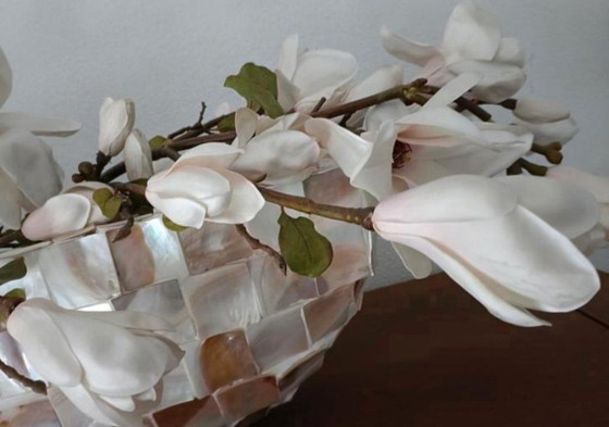 Image 1 of 1 jarrón de concha ovalada y 2 jarrones de concha de nácar con cuencos rotos