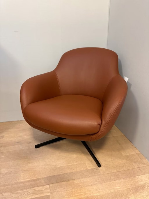 Jester club chair by Signet