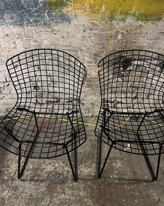 Image 1 of 2 zwarte wire chairs van Bertoia voor Knoll