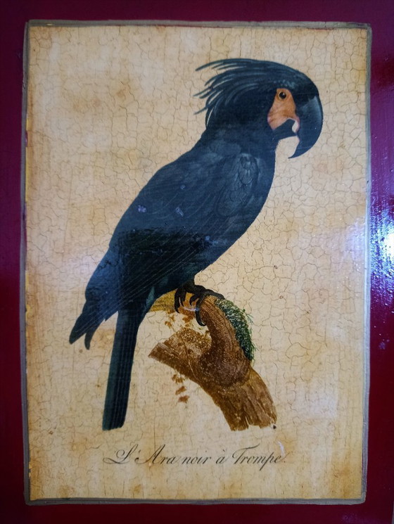 Image 1 of Openhaard luciferhouder