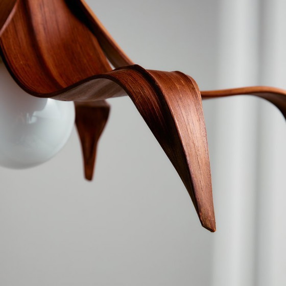 Image 1 of MK10772 Araña de hojas de coco