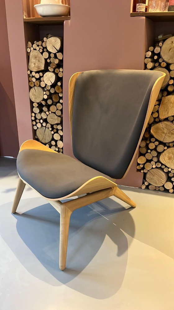 Image 1 of Immagina il lettore