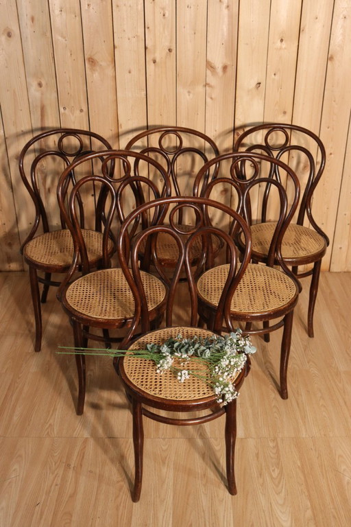 Set aus 6 Hofmann Bistrostühlen, Modell Engelsflügel