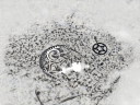 Plato de peltre - 'Porringer' - fuente para servir - contrastado - siglo XIX