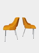 2x FM32 chairs by Cees Braakman for Pastoe