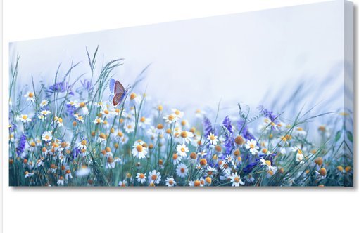 Ole Manning ---Sommerblumen (auf Leinwand)