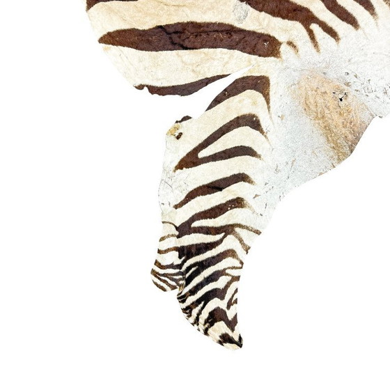 Image 1 of Tappeto vintage in pelle di zebra – autentica pelle di animale africano – oggetto decorativo per interni