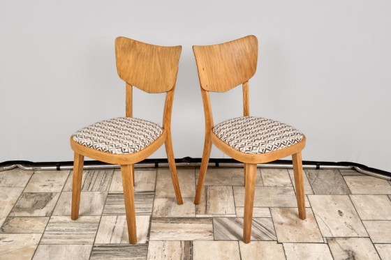 Set of 4 Dining Chairs, by TON, 1960s, Czechoslovakia – Textile, Wood (photo 6 of 15)