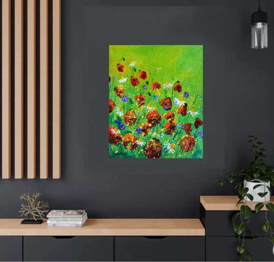 Image 1 of Red Poppies 67