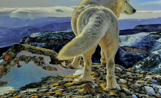 Original Oil Painting Animal Northern Wolf Breath of the Mountains – Paintings & Drawings, Canvas (photo 4 of 6)