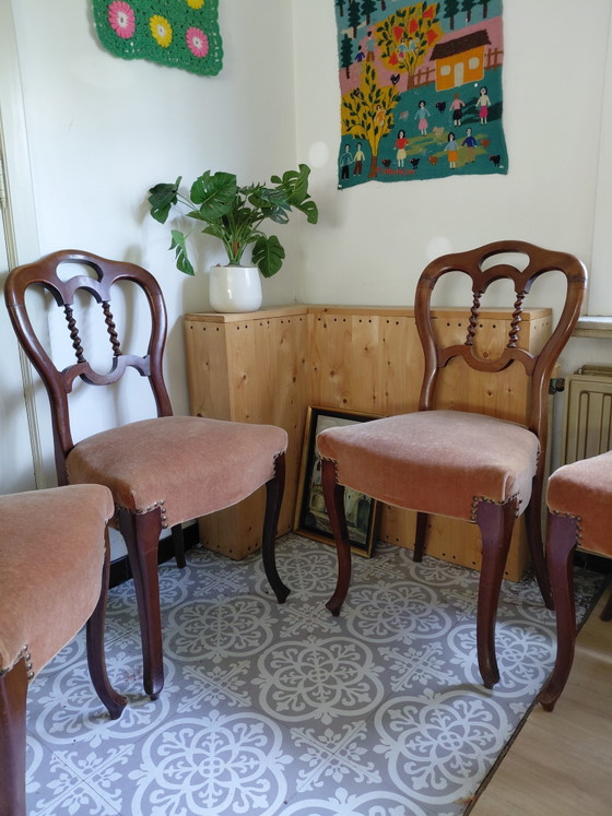 Juego de 4 sillas de comedor antiguas estilo Biedermeier - Buen estado – Velvet, Wood (photo 13 of 13)