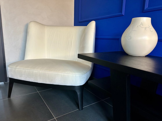 Image 1 of Flexform armchair XL DRAGONFLY by Roberto Lazzeroni