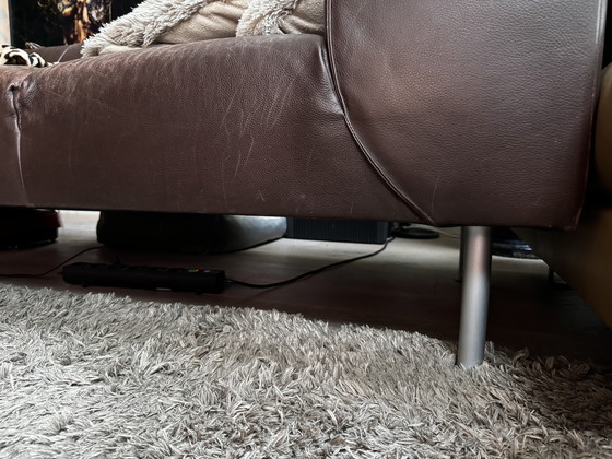 Image 1 of Montis Nindes Bank in pelle marrone