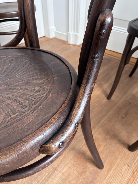 set of 6 mix-match Thonet style chairs – Dining chairs, Wood (photo 15 of 17)
