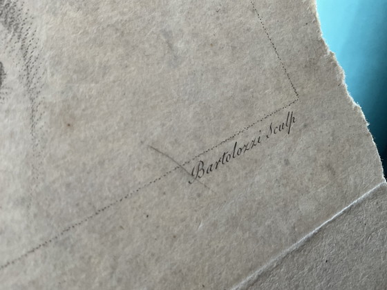 Image 1 of Rare étude anatomique du XVIII ème siècle par Cipriani 