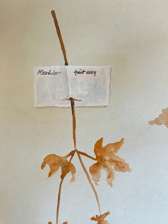 Image 1 of Signed watercolor painting from the Herbiers collection in trompe l'oeil