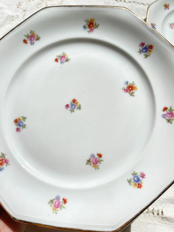 6 platos llanos de porcelana francesa floral LAMOTTE – Loza, Porcelain (photo 18 of 20)