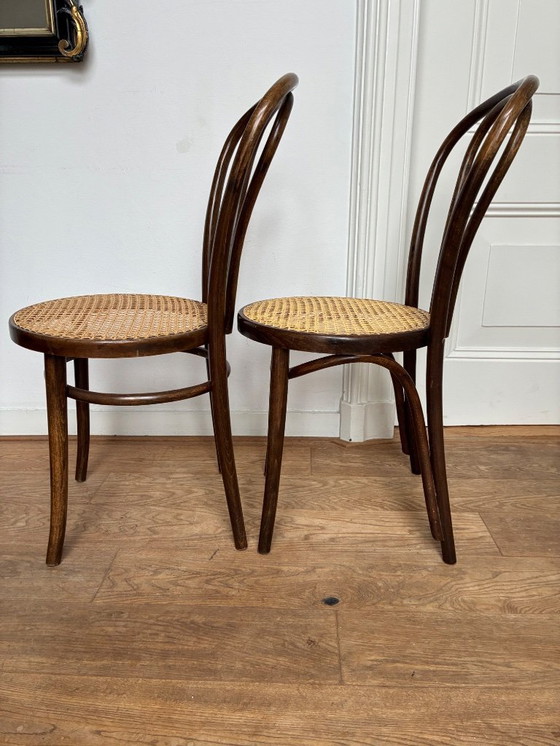 Image 1 of Set di 5 sedie Thonet n. 18 di ZPM Radomsko