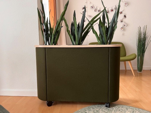 Skandiform Hedge Séparateur de pièce mobile Cache pots