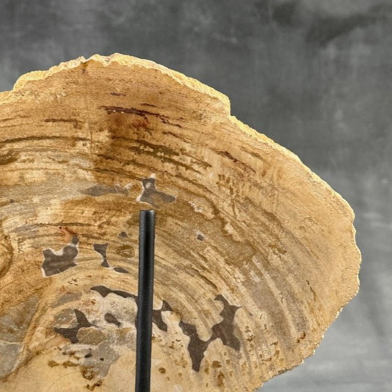 Image 1 of Madera fosilizada de Sooka, soporte hecho a medida (nuevo)