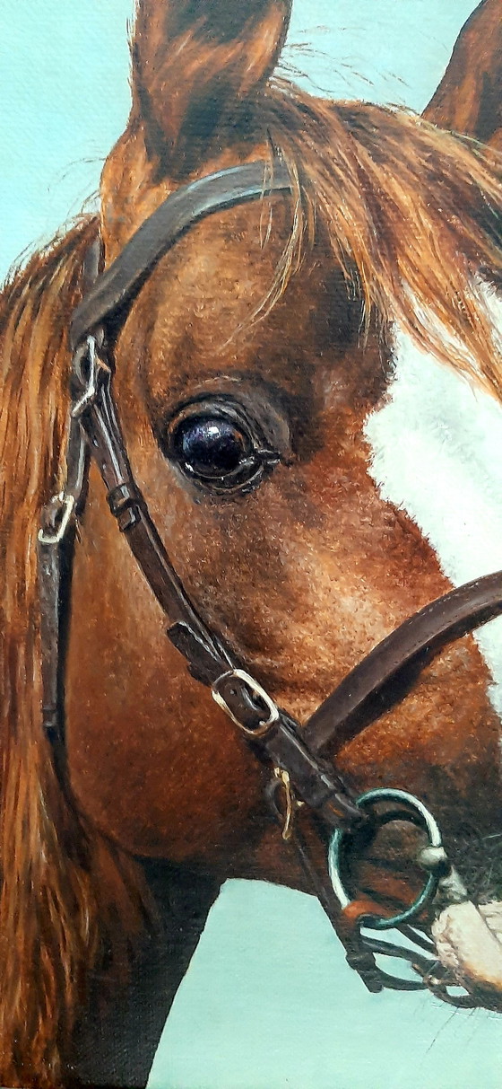 Image 1 of Dipingere la testa di cavallo