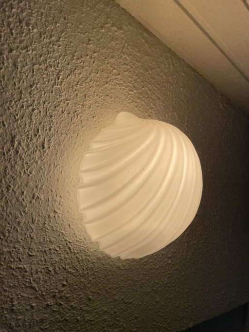 Glashütte Limburg Shell Wall Lights 2x
