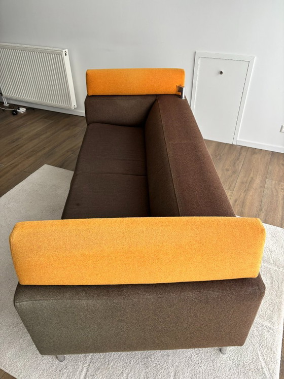 Divano, marrone con poggiatesta gialli, Leolux Horatio, Divani 2 posti, Tessile, Metallo, Modern (foto 4 di 5)