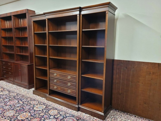Libreria Armadio Classico Inglese Heldense Exclusive – Librerie, Wood, Brass (photo 3 of 9)