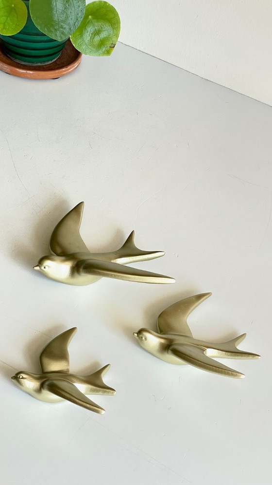 Image 1 of Hirondelles dorées