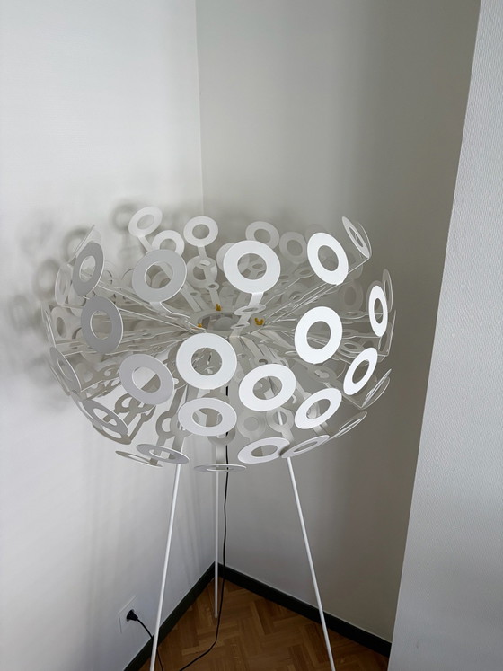 Dandelion Stehleuchten Richard Hutten – Moooi, Metall, Kunststoff (photo 3 of 10)