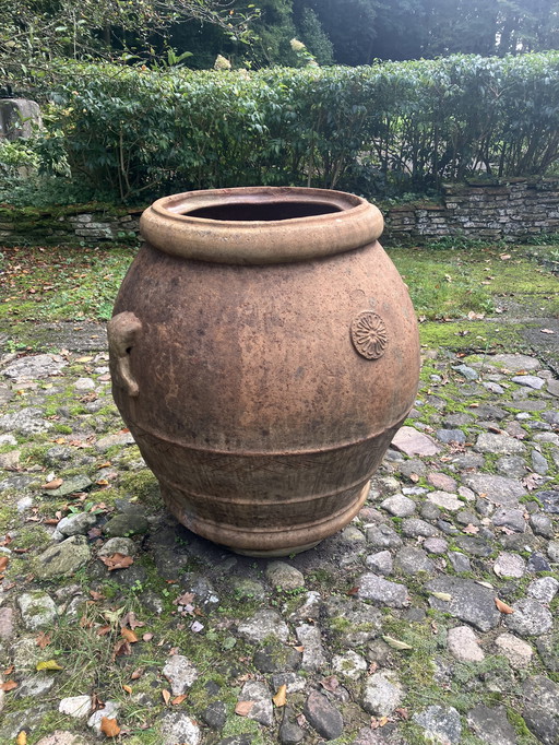 Terracotta olijfpot