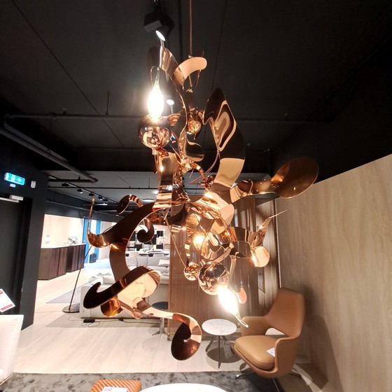 Image 1 of Lustre de marque van Egmond Kelp