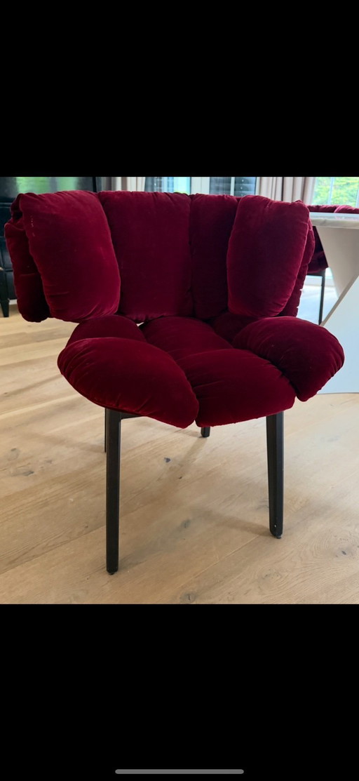 EDRA chairs 6x velvet red !