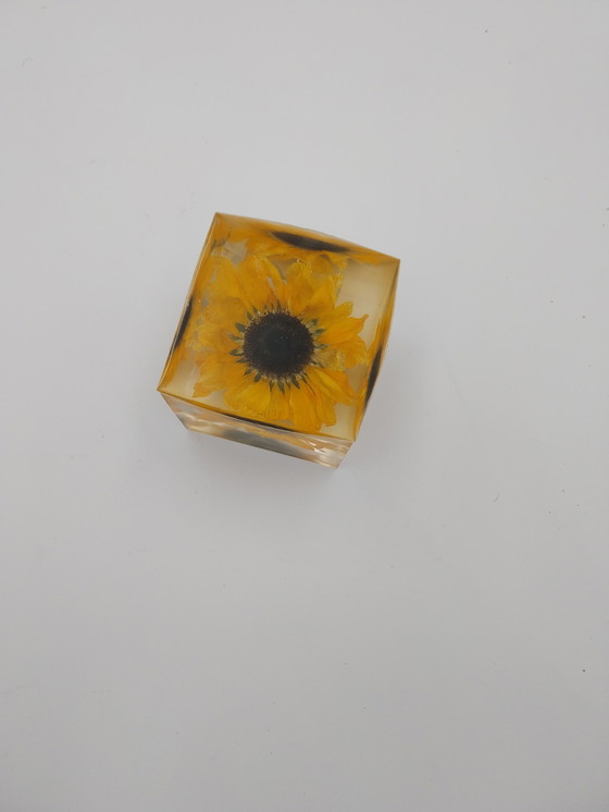 Image 1 of Deux compositions florales dans des blocs de résine époxy. Rose et tournesol, 10 x 10 x 10 cm.