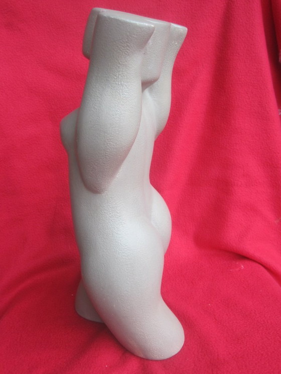 Image 1 of Abstracte torso vrouw