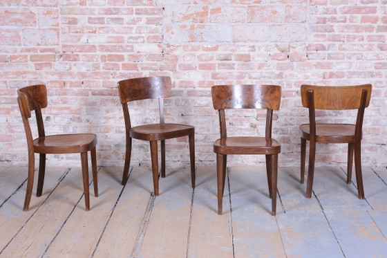 Vier restaurierte Art-Deco-Stühle von Thonet, Buche, Nussbaum, tschechisch, 1940er Jahre – Esszimmerstühle (photo 6 of 15)