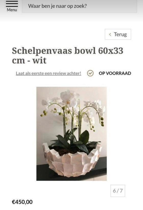 Image 1 of 1 jarrón de concha ovalada y 2 jarrones de concha de nácar con cuencos rotos