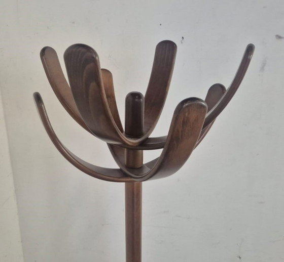 Image 1 of Cactus by Mauro Pasquinelli Coat rack