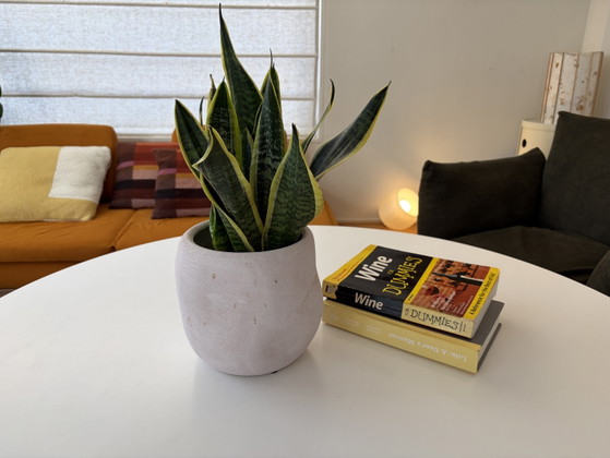 Vintage Round Coffee Table, White Laminate & Black Star Base, 114 cm, Cast Iron, lamine (photo 3 of 3)