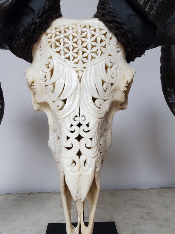 Image 1 of Tassidermia - Teschio di ariete intagliato su base (rif. 4039)