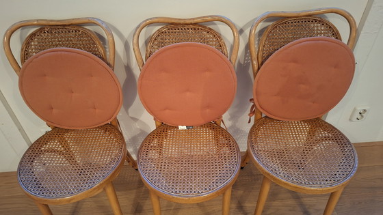 Image 1 of 3 chaises vintage en osier de style Thonet avec coussins amovibles