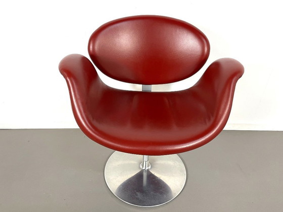 Image 1 of Four small tulip-shaped dining chairs in burgundy leather, designed by Pierre Paulin for Artifort in the 1990s.