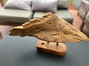 Einzigartige Treibholzskulptur, Objekt, Fisch auf einem Ständer