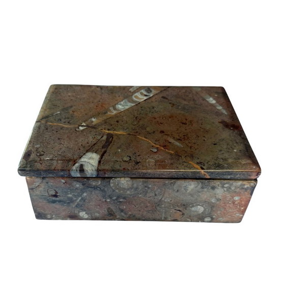 Image 1 of Scatola portagioie o scatola di fossili unica nel suo genere il segreto del marmo Orthoceras - Naturally Chic