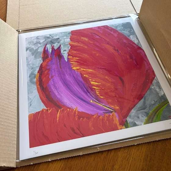 Image 1 of Feliz cumpleaños – Impresión artística de edición limitada (30 x 30 cm), firmada y numerada, incluye certificado.