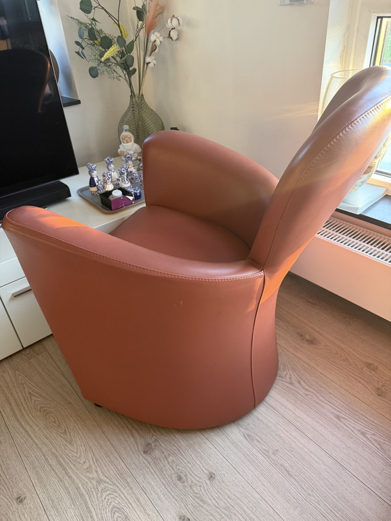 Image 1 of Leolux Amphora Ledersessel.