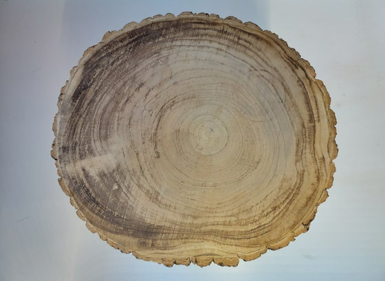 J-Line Placer de Vivir | Mesa auxiliar con forma de tronco de árbol – Mesas auxiliares, Wood (photo 4 of 8)