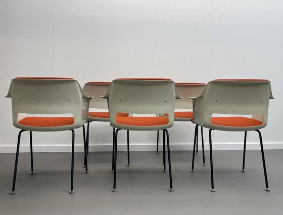 Image 1 of 5 sedie Modello 2225 André Cordemeyer Gispen anni '70